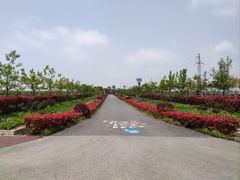 -菊园百果园