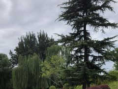 -莲花池公园