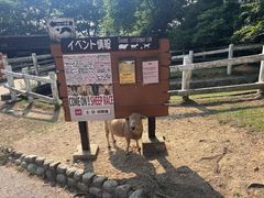 -神户市立六甲山牧场