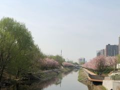 -大望京公园