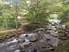 -广州市石门国家森林公园