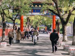 -北京国子监胡同