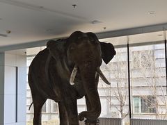 -吉林省自然博物馆