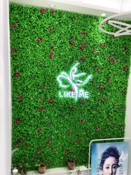 -莱可美科技美肤