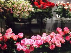 iphone_upload_pic-ROSEONLY诺誓(青岛万象城店)
