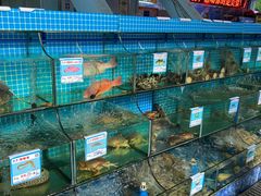 水产区-范饭椰林川湘味海鲜·椰子鸡(三亚湾椰梦长廊店)