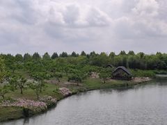 -乌村