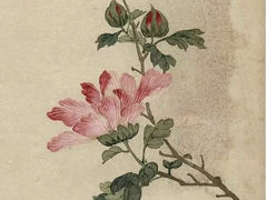 -六出私塾LiuChu•成人美术书法系统课程专业画室(熊婆婆的花园店)