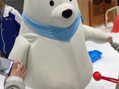 -Mr·Kuma酷么先生雪之乐园