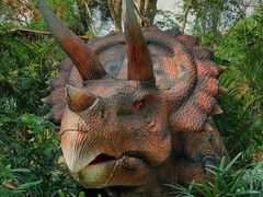 -海南热带野生动植物园