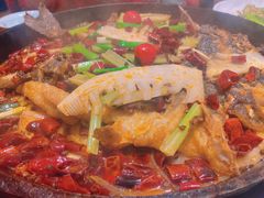 -老板恋上鱼(荣盛广场店)