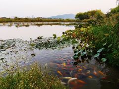-云龙湖旅游景区