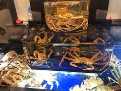 -蟹道乐(道顿堀本店)