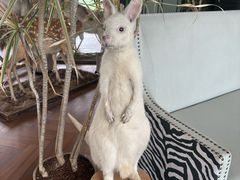 -中国天府农业博览园