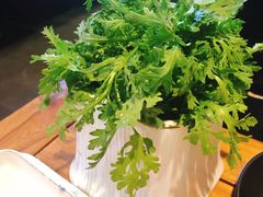 -丁卯•铜锅涮肉(工体店)