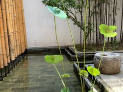 -竹里馆·淮扬菜·功夫茶(老门东店)