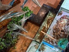 -樱之盛宴·蟹料理海鲜自助(前进大街店)