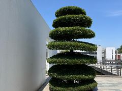 -石家庄市植物园