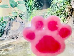 -郑州银基黄帝宫御温泉