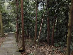 -凤栖山