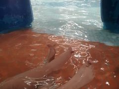 -南宫温泉水世界