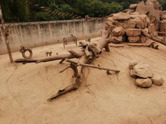 -西安秦岭野生动物园