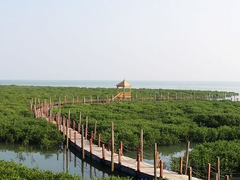 景点-北海金海湾红树林生态旅游区