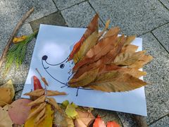 -白塘生态植物园