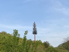 -武汉姚家山旅游景区