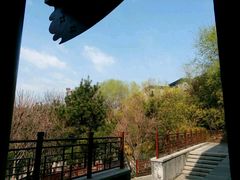 -西安曲江寒窑遗址公园