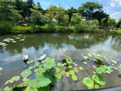 -映月湖公园