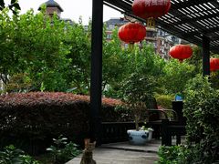 -荷风细雨·中国茶宴(碧云店)