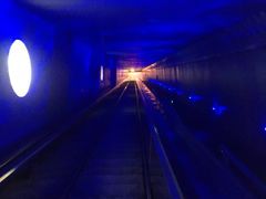 -白鹤梁水下博物馆