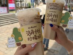 -猫的魔法密林(衣裳街店)