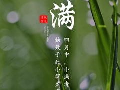 -裕和堂中医推拿艾灸(太古汇臻品店)