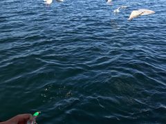 -抚仙湖禄充风景区
