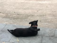 -宁波五龙潭景区