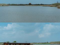 -宁波杭州湾国家湿地公园
