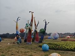 -空港花田景区