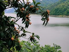 -新安江山水画廊风景区