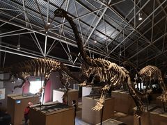 -世界恐龙谷景区