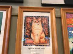 -猫咪博物馆(顶澳仔猫街店)