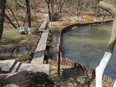 -金陵矩阵(聚宝山公园店)