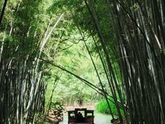 -同里国家湿地公园