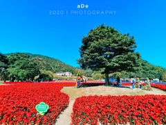 -广州市石门国家森林公园