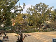 -申粤轩酒楼·三十年粤菜经典(丁香花园店)