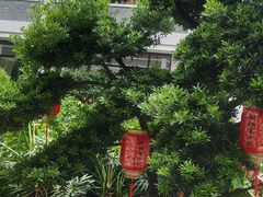 -聚福宝合苑食府(南头镇店)