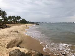 -尼甘布海鲜市场