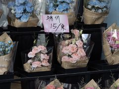 -溪岸路花鸟市场