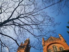 -上海佘山国家森林公园西佘山园